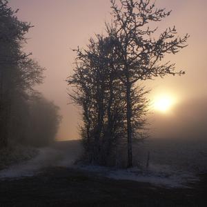 精品鲁鲁三级 Av无码
