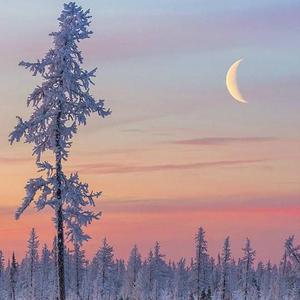 精品鲁鲁三级 Av无码
