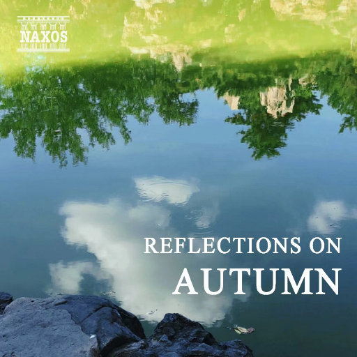 精品鲁鲁三级 Av无码
